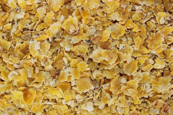 Corn Flakes Pro Elite Baits - Image 3